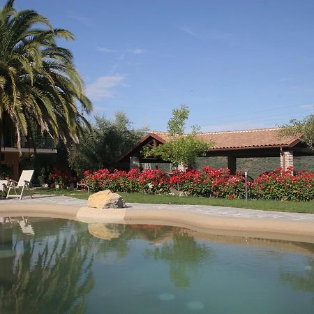 Agriturismo Ada Musso Ss Diano Borello Luaran gambar