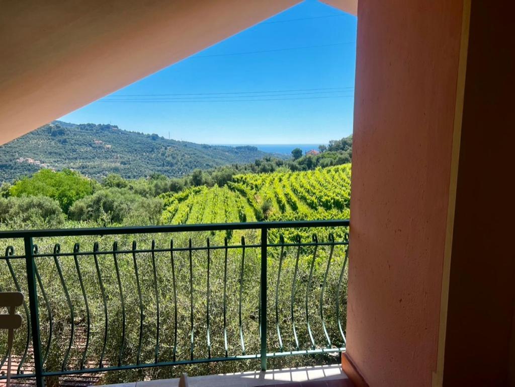 Agriturismo Ada Musso Ss Diano Borello Luaran gambar