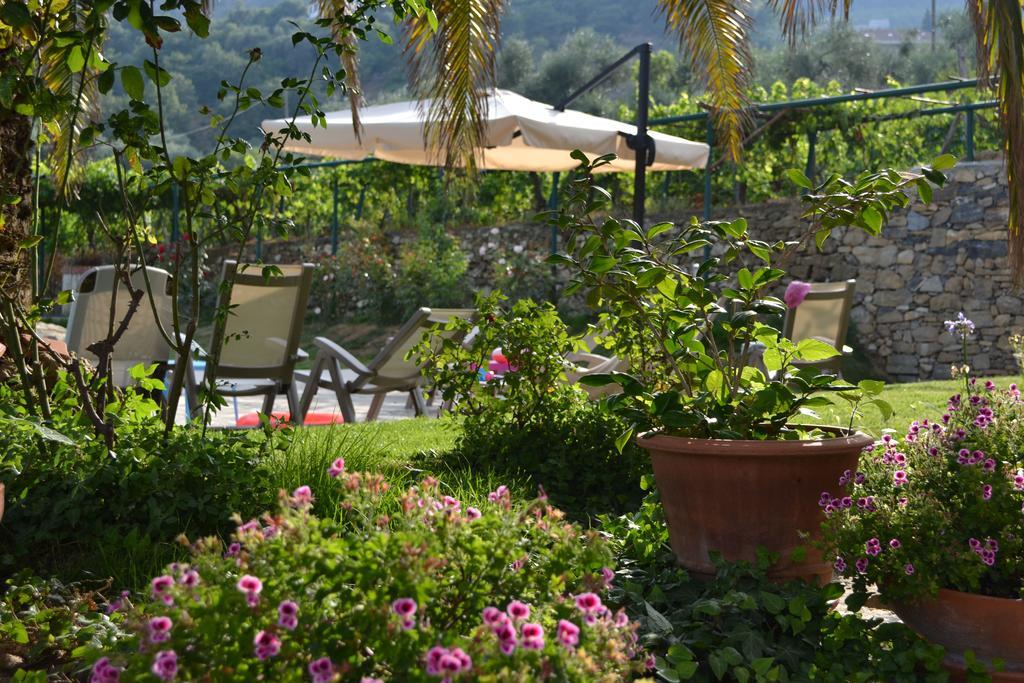 Agriturismo Ada Musso Ss Diano Borello Luaran gambar