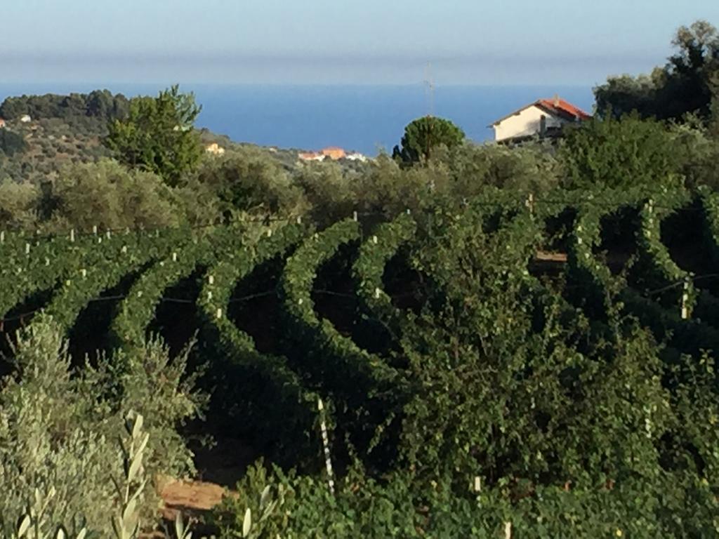 Agriturismo Ada Musso Ss Diano Borello Luaran gambar