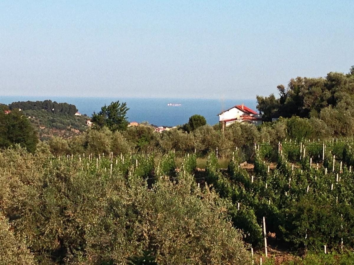 Agriturismo Ada Musso Ss Diano Borello Bilik gambar