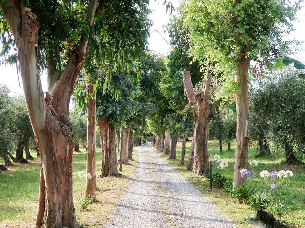 Agriturismo Ada Musso Ss Diano Borello Luaran gambar