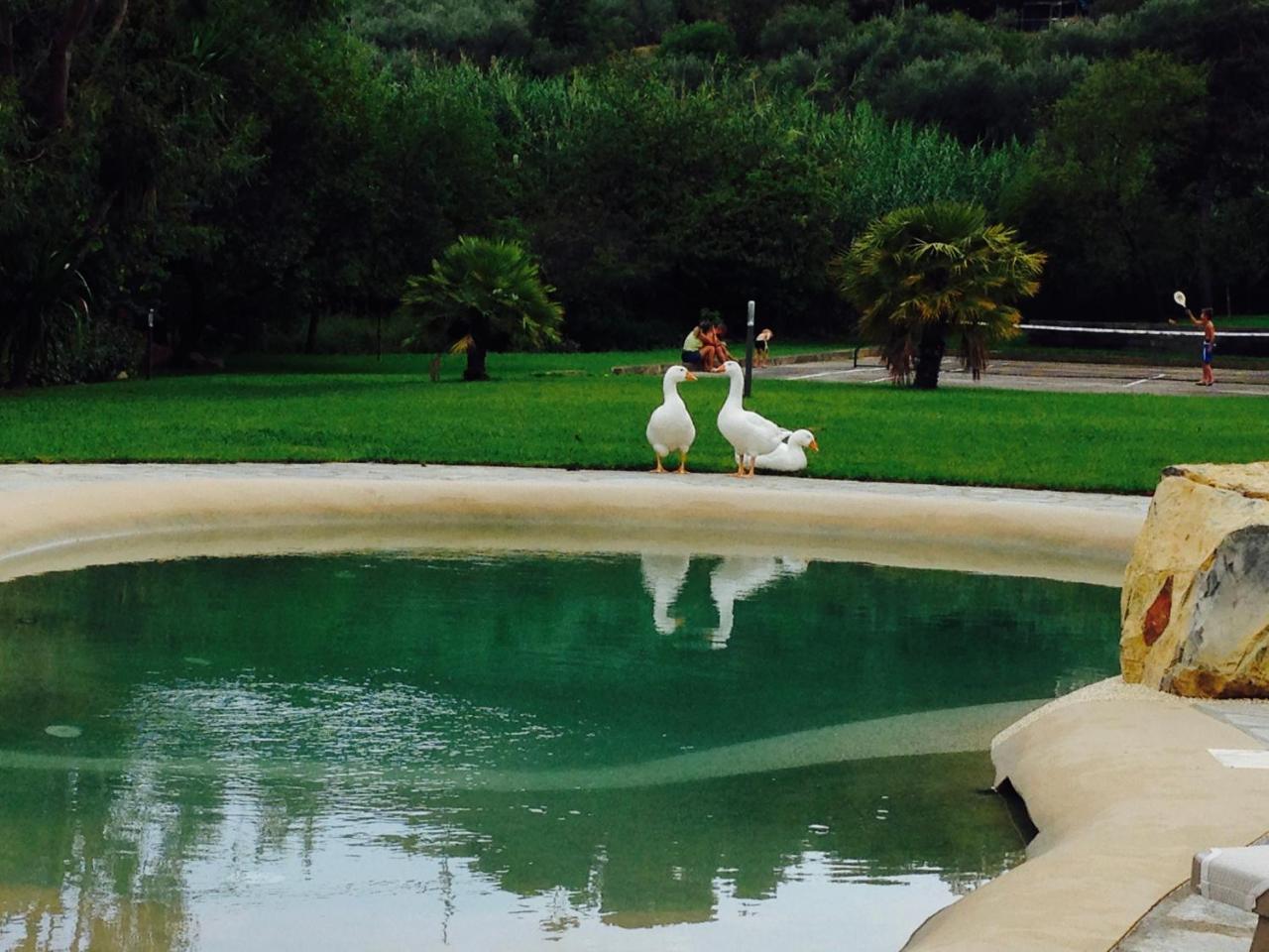 Agriturismo Ada Musso Ss Diano Borello Luaran gambar