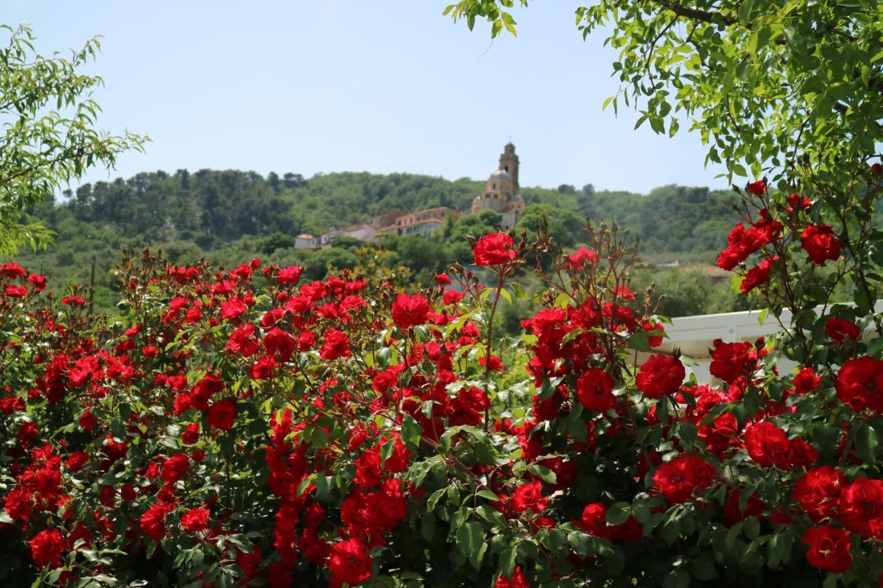 Agriturismo Ada Musso Ss Diano Borello Luaran gambar
